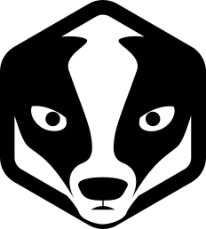 pgBadger pgBadger 标志